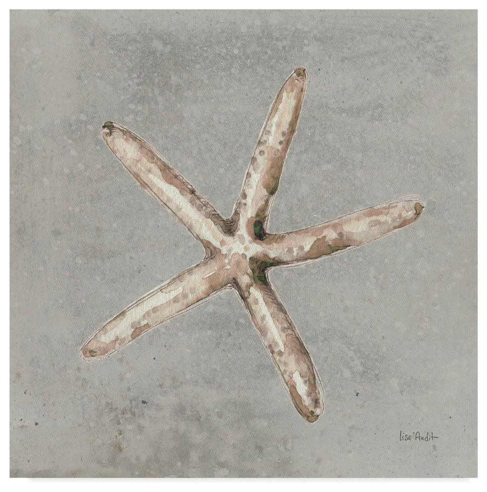 Lisa Audit ''Sand And Seashells Iii'' Canvas Art, 35"x35"