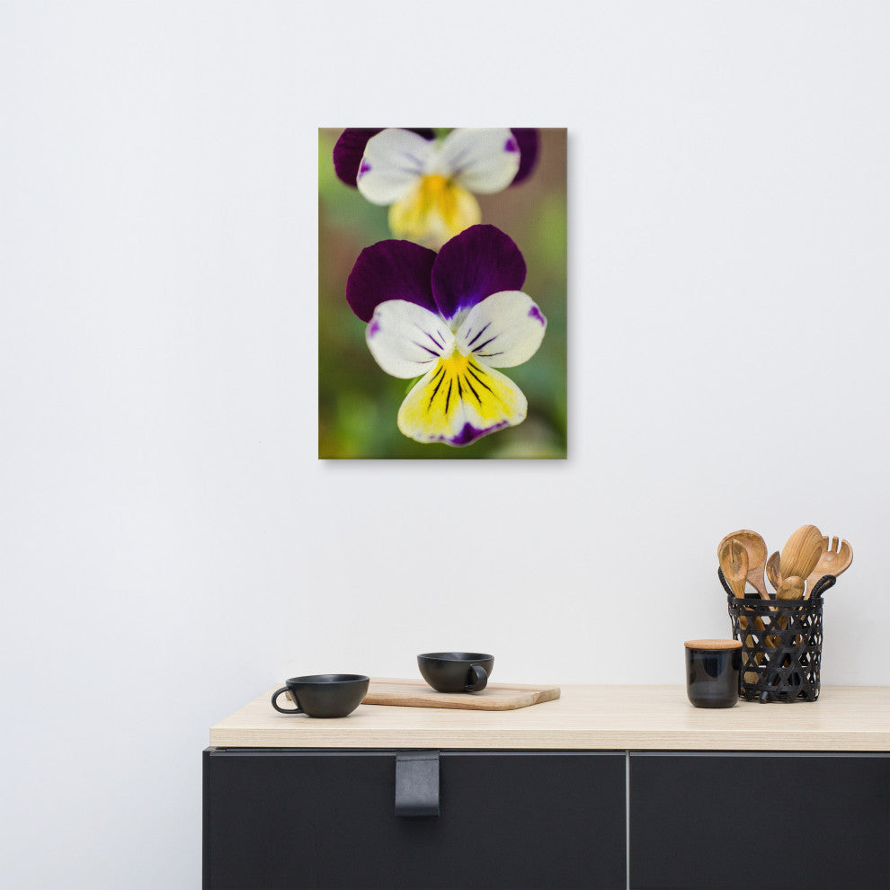 Pretty Little Violets Floral Nature Photography Canvas Wall Art Print, 18" X 24"