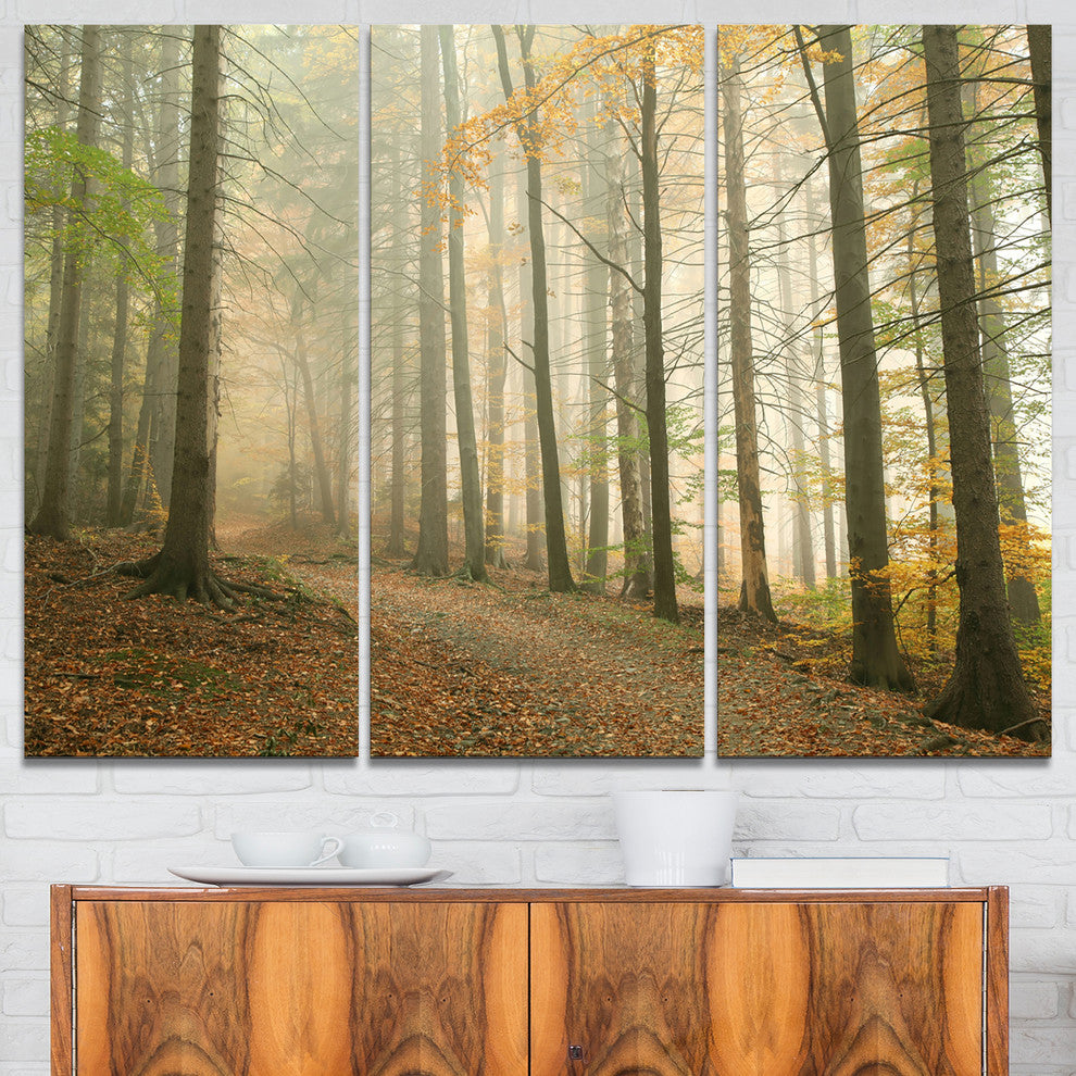 "Path in Misty Autumn Forest" Photo Canvas Print, 3 Panels, 36"x28"