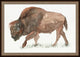 Oversized Range Buffalo 1, Giclee Reproduction Artwork