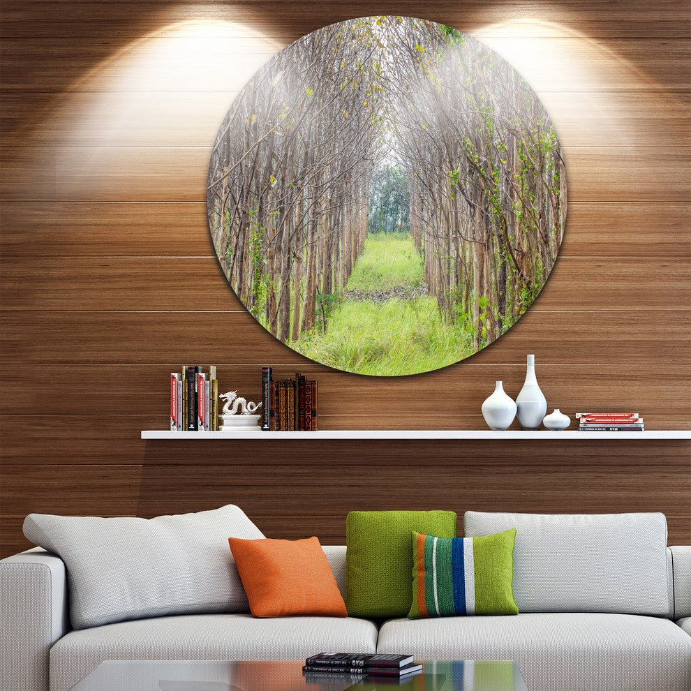 Pathway Through Fall Green Trees, Landscape Disc Metal Wall Art, 11"