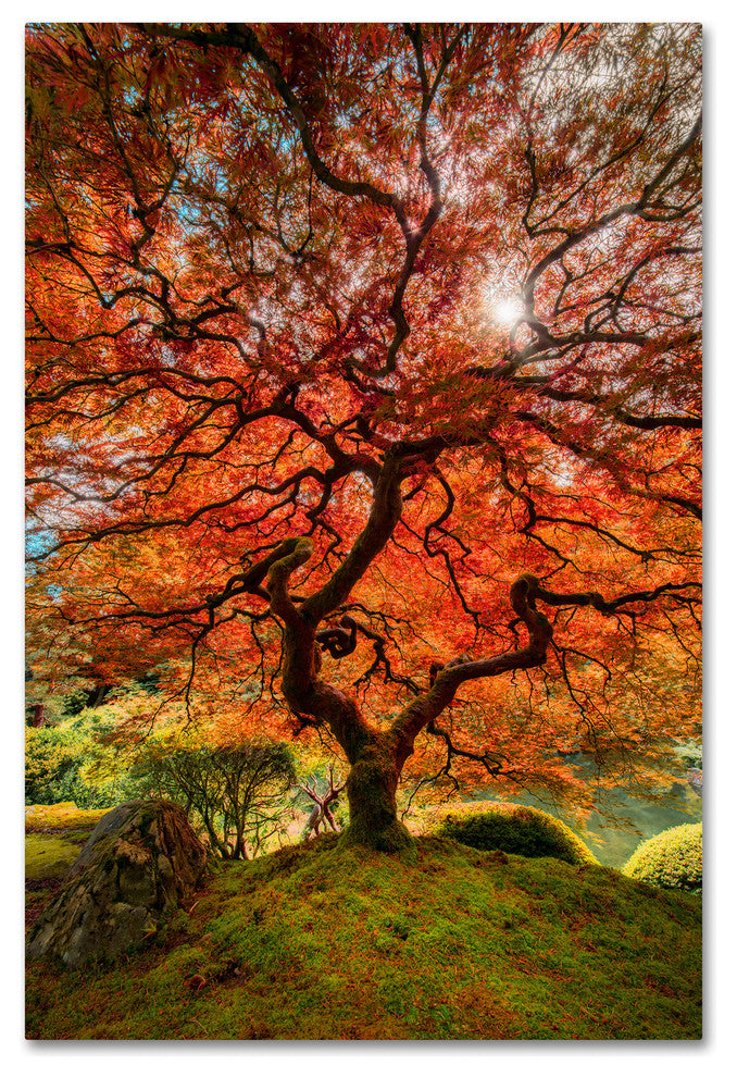 Moises Levy 'The Tree Vertical' Canvas Art, 19 x 12