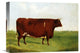 "Twin Beast" Stretched Canvas Giclee by G. Sinclair, 16"x12"