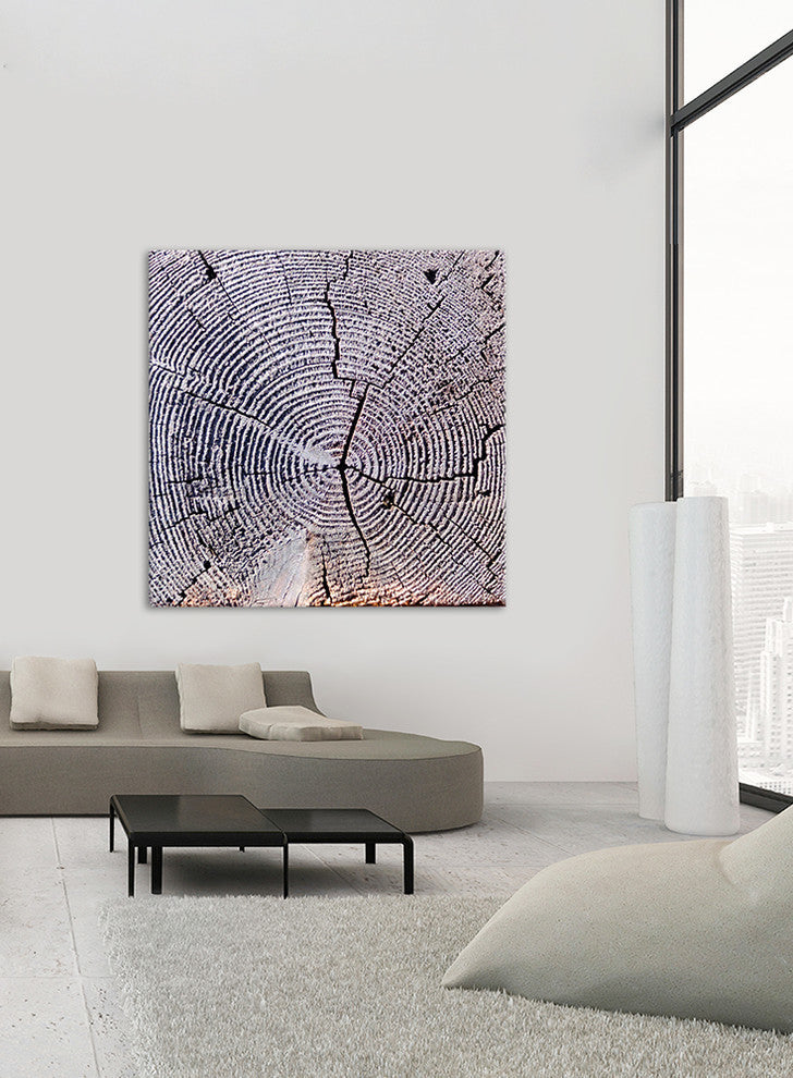 Age Of Time 2 Fine Art Giant Canvas Print 54"X54"