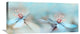 "The Two Of Us" Stretched Canvas Giclee by Heidi Westum, 30x14"