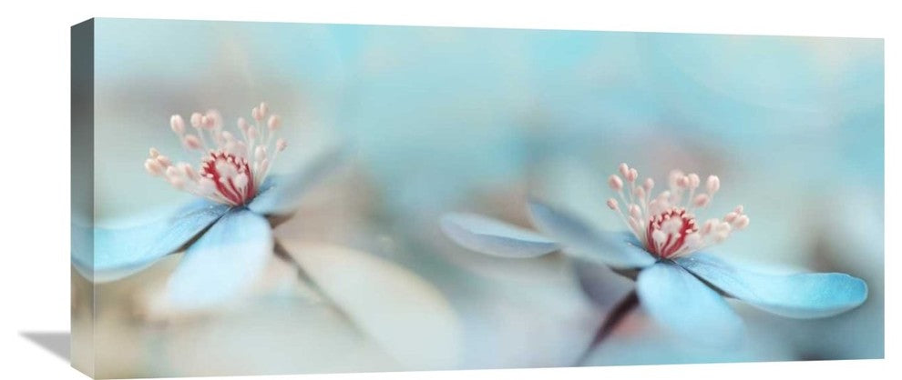 "The Two Of Us" Stretched Canvas Giclee by Heidi Westum, 30x14"
