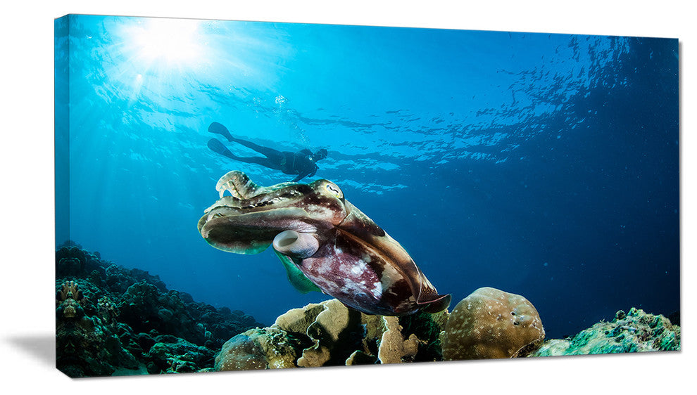 Broadclub Cuttlefish Underwater, Large Seashore Canvas Art Print, 32"x16"