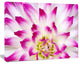 Smooth White Rose Floral Petals, Floral Canvas Art Print, 20"x12"