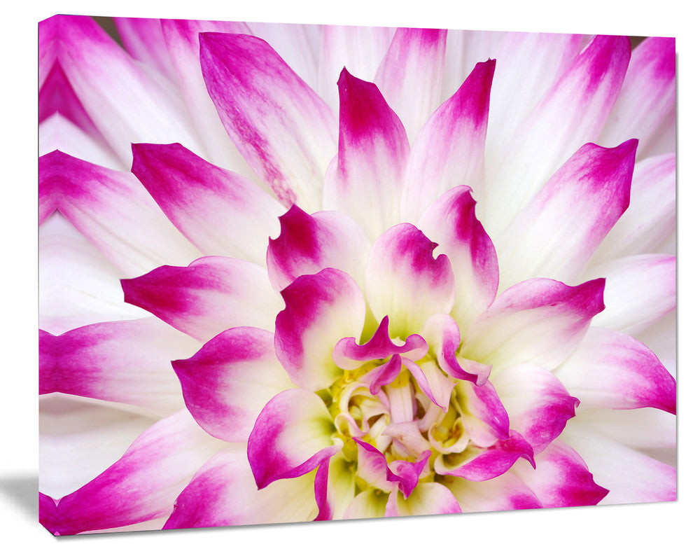 Smooth White Rose Floral Petals, Floral Canvas Art Print, 20"x12"