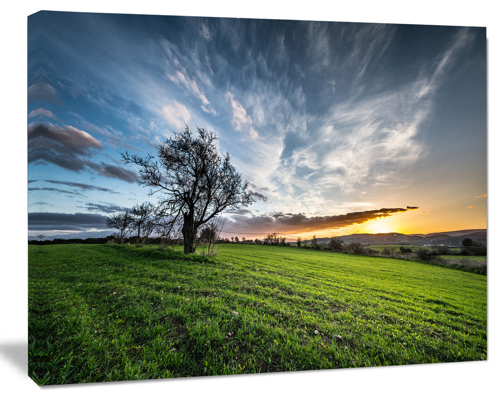 Green Grass Field in Sardinia, Landscape Canvas Art Print, 60"x28"