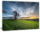 Green Grass Field in Sardinia, Landscape Canvas Art Print, 60"x28"