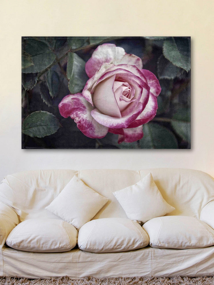 "Vintage and Variagated" Painting Print on Canvas by Robertson