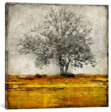 "Majestic - Amber" by Eric Turner, Canvas Print, 12"x12"