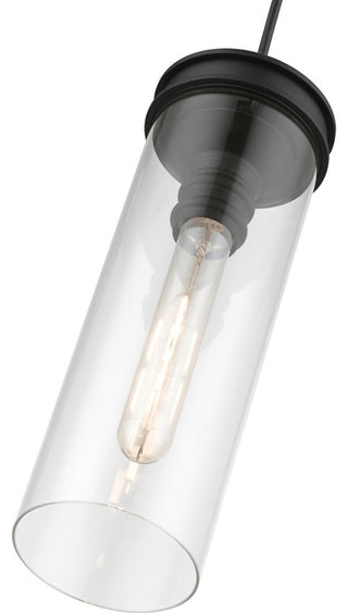 Devoe 1 Light Black With Brushed Nickel Accent Mini Pendant