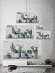 "Refreshing Green Succulents" Painting Print on Wrapped Canvas
