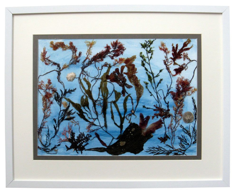 Ocean Garden Oshibana Art ocean-garden-oshibana-art