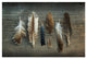 "Feather Collection I" Digital Paper Print by Sue Schlabach, 20"x14"