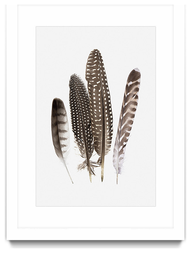 "Feathers II" Matted and Framed, 52"x36"
