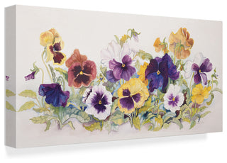 Joanne Porter 'Pansies Faces' Canvas Art, 19"x10"
