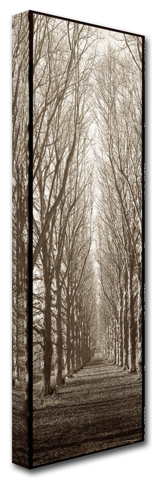 Alan Blaustein 'Hampton Gates Promenade' Canvas Art, 6x19