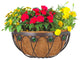 Emerald Series Wall Manger - 16"