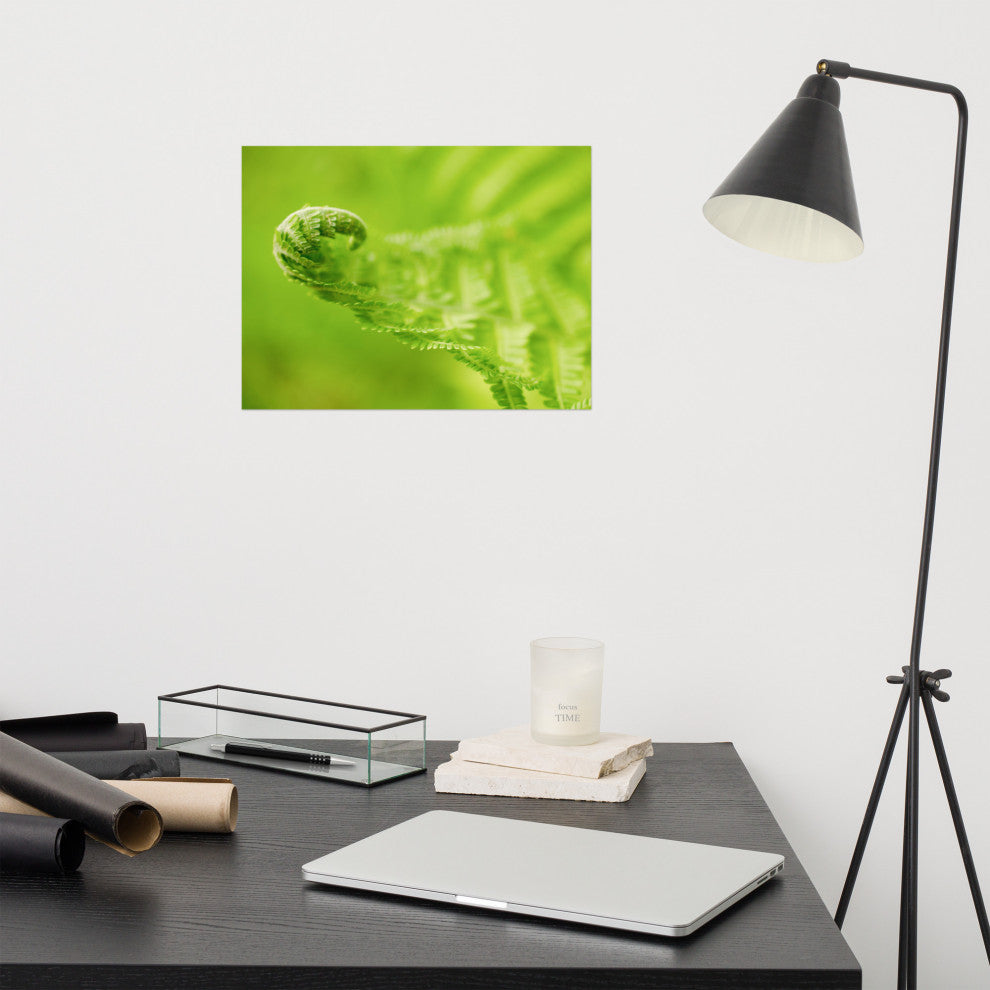 Fern Curl Nature Photography, Botanical Unframed Wall Art Print, 12" X 16"