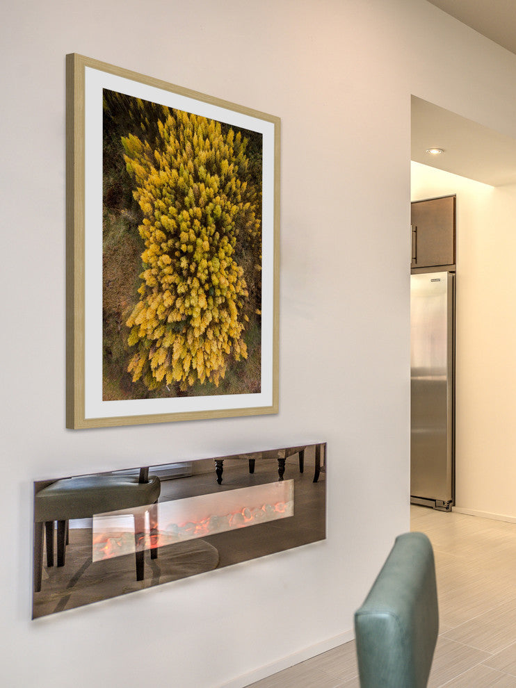 "Yellow Flora" Framed Print by Karolis Janulis