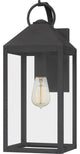 Quoizel TPE8408MB One Light Outdoor Wall Mount, Mottled Black Finish