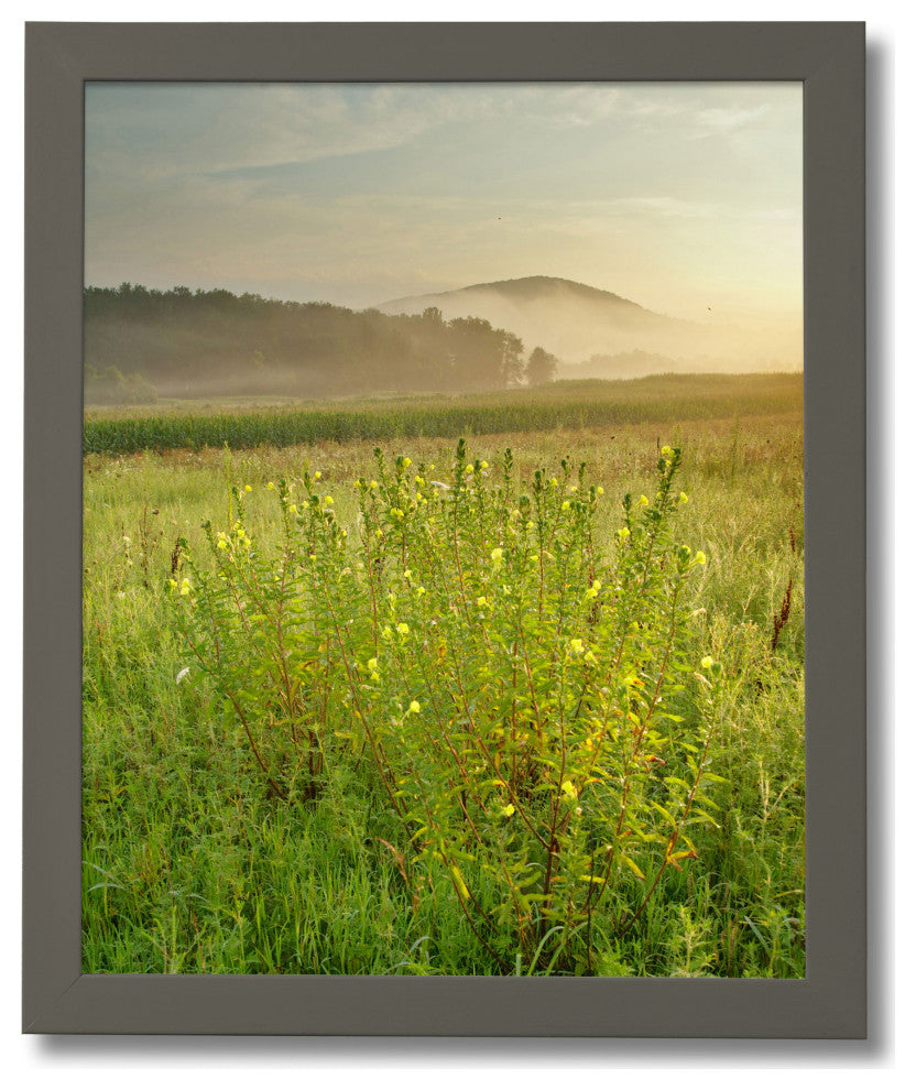 Bold Legacy .75" Frame, Gray, 4"x6"