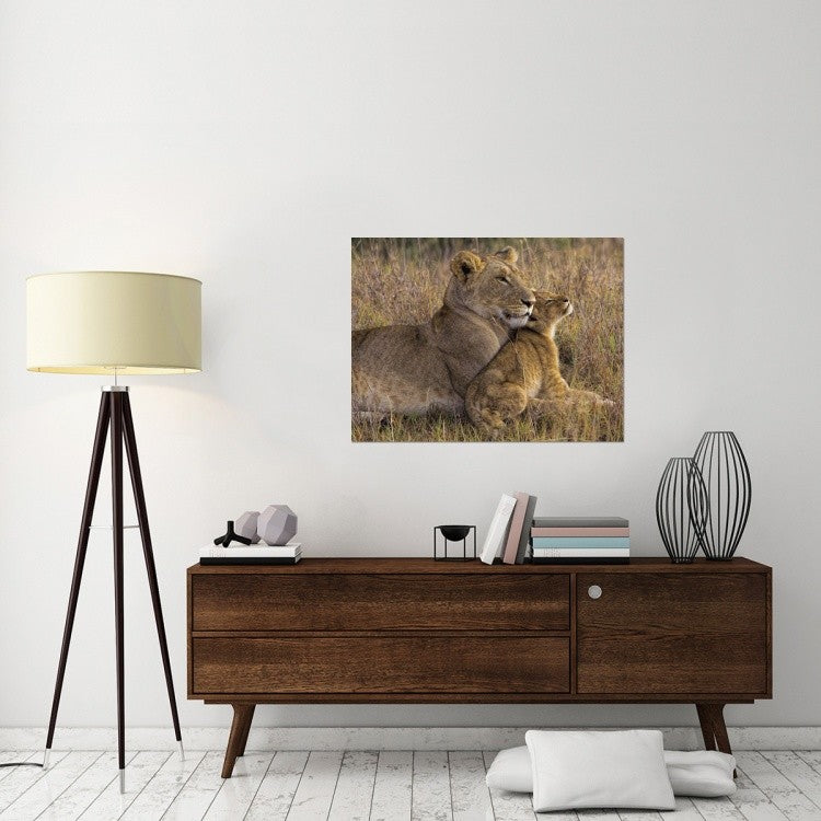 "Baby Lion With Mother" Stretched Canvas Giclee by Henry Jager, 40x30"