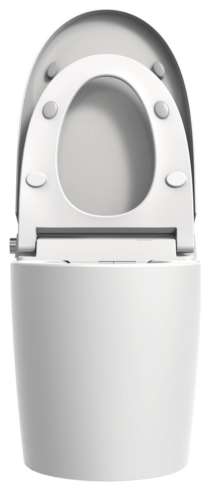 Multifunction Single Flush Ceramic Smart Toilet, Heated Seat