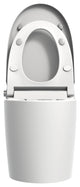 Multifunction Single Flush Ceramic Smart Toilet, Heated Seat