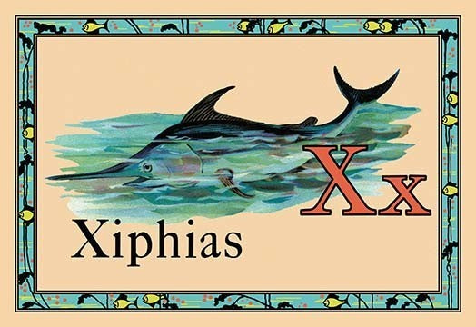 Xiphias- Gallery Wrapped Canvas Art 28" x 42"