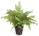 Soft Fern Drop-In 10.5"