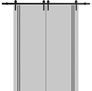 Sturdy Double Barn Door 84 x 96 with | Planum 0016 Grey Matte with  | 14FT