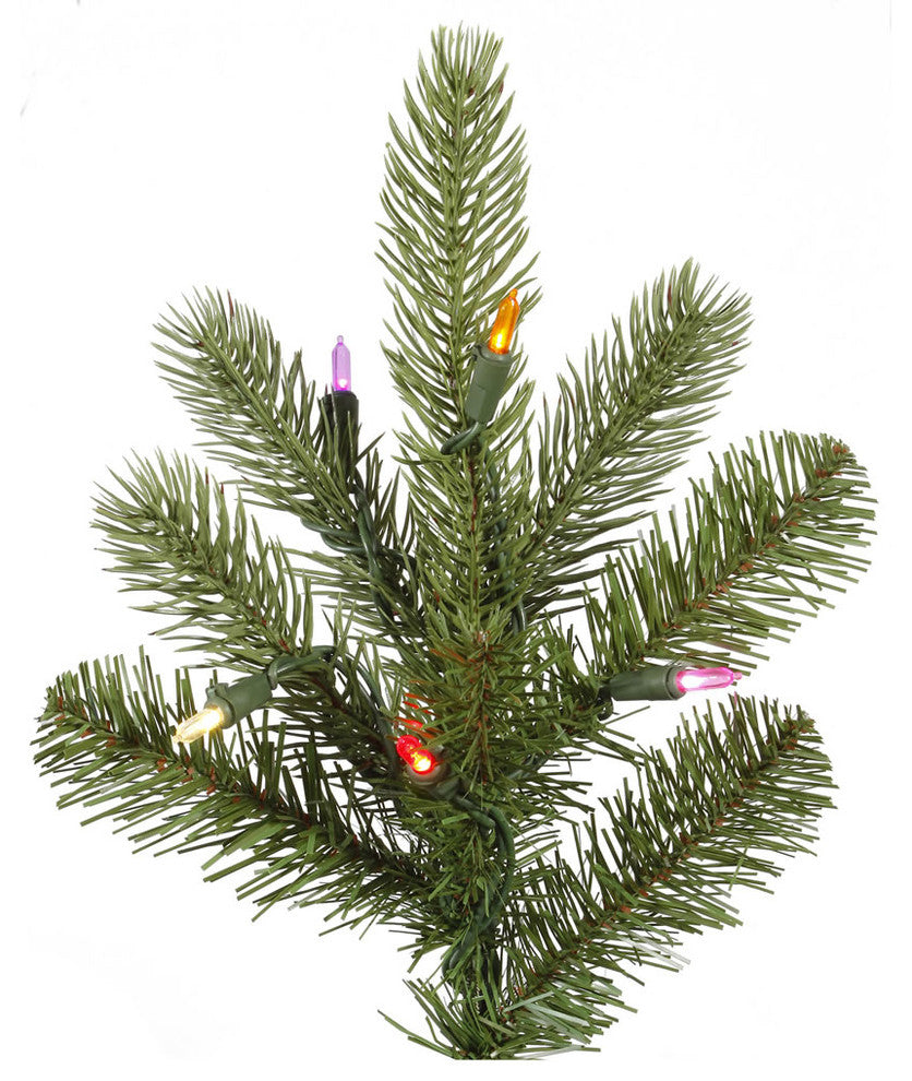 5.5' X 41" King Spruce Led300Mu
