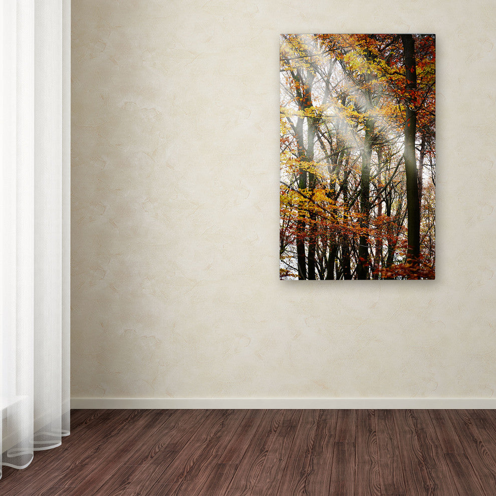 'Just the Light' Canvas Art by Philippe Sainte-Laudy