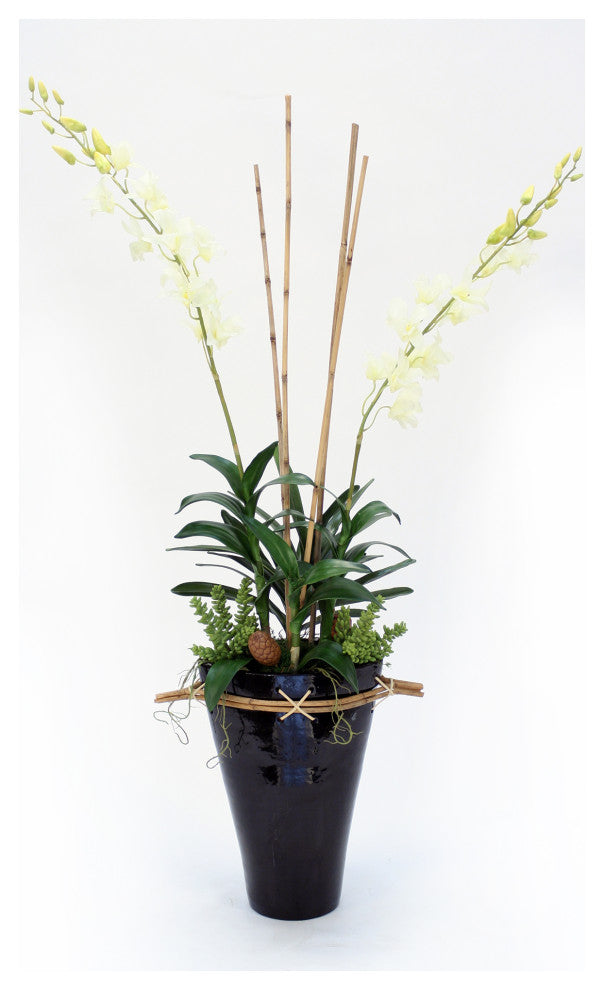 White Orchids in Large Black Fuji Vase