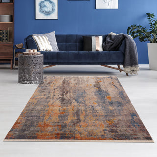 Distressed Desert Modern Area Rug, 7'9" X 10'