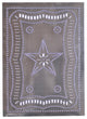 Federal Panel in Unfinished Tin