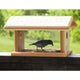 Cedar Bluebird Feeder