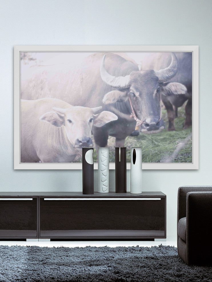 Marmont Hill, "Curious Bovines" Framed Painting Print, 24x16