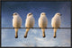 "White Monjita" Framed Canvas Giclee by Chechi Peinado, 25x17"