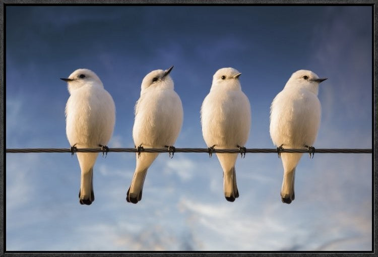 "White Monjita" Framed Canvas Giclee by Chechi Peinado, 25x17"