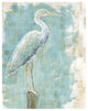 "Coastal Egret I working" Digital Paper Print by Sue Schlabach, 18"x22"