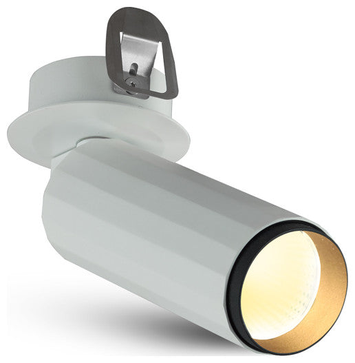 Integrated LED Adjustable Flush Mounted Spotlight Commercial Grade, White