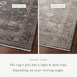 Loloi Lyra Ink / Multi 7'-10" x 10' Area Rug