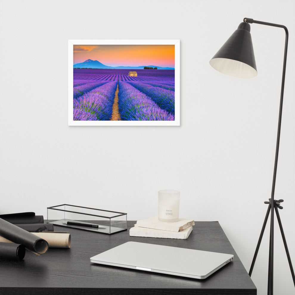 Blooming Lavender Field and Sunset Floral Landscape Framed Photo Wall Art Prints, White, 12" X 16"