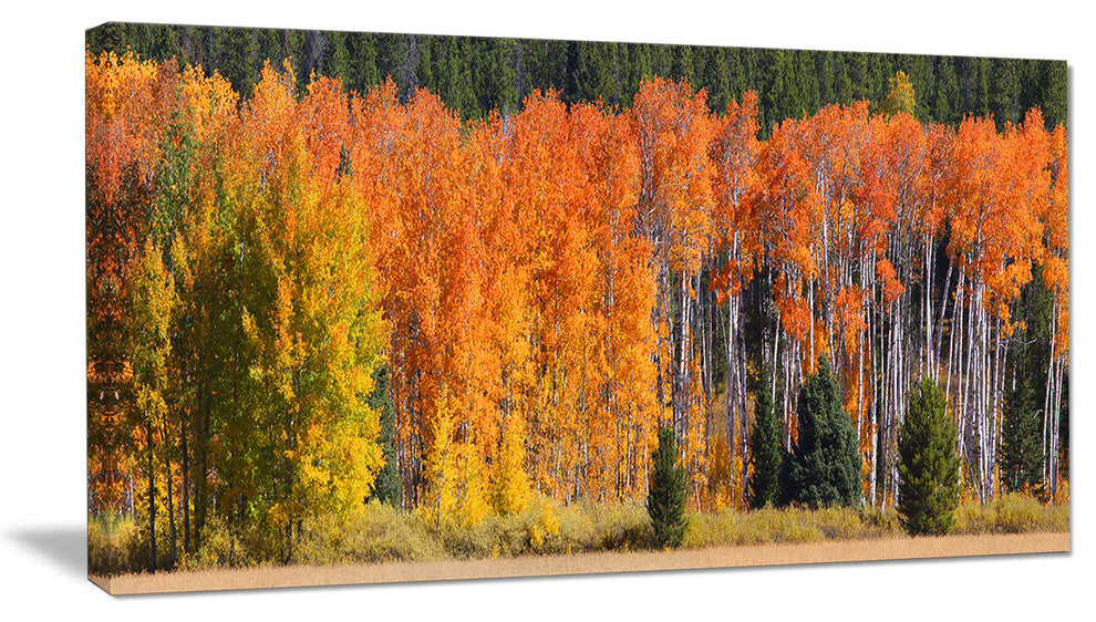 Fall Trees Panorama, Landscape Canvas Art Print, 32"x16"