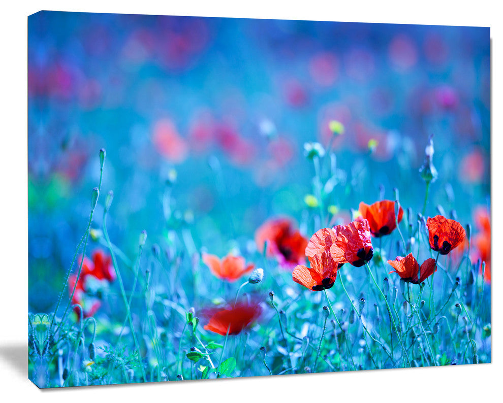 Poppy Flowers Field At Night, Floral Canvas Art Print, 40"x30"